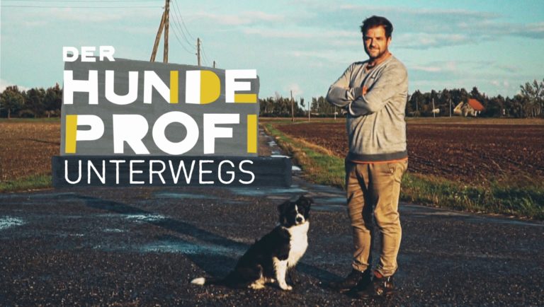 Der Hundeprofi unterwegs