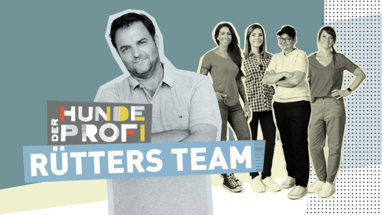 Der Hundeprofi – Rütters Team