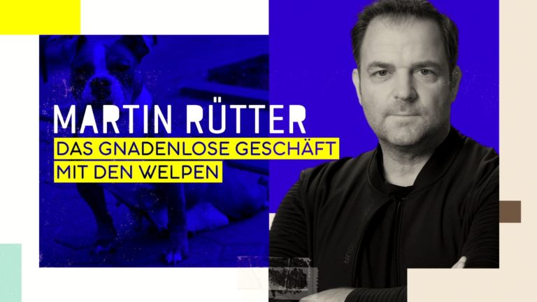 Martin Rütter – Das gnadenlose Geschäft mit den Welpen