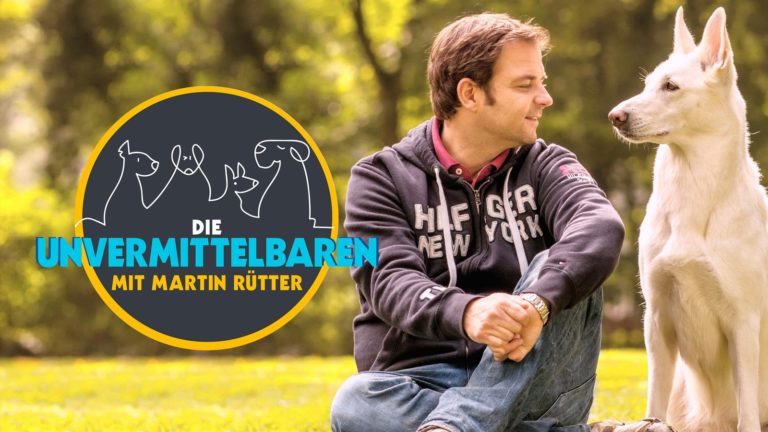 Die Unvermittelbaren mit Martin Rütter