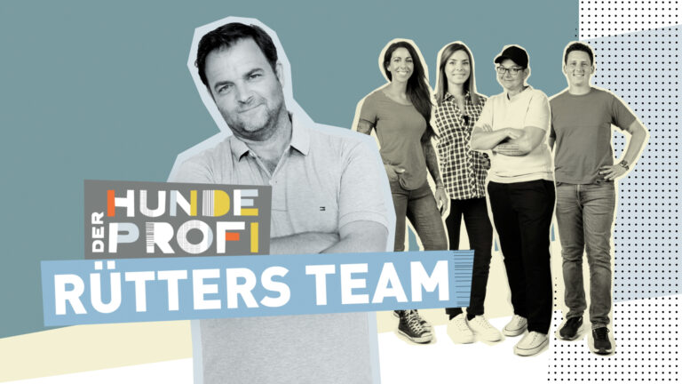 Der Hundeprofi – Rütters Team