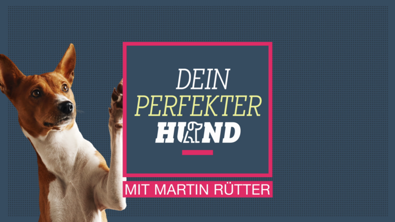 Dein Perfekter Hund mit Martin Rütter