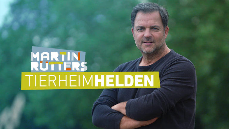 Martin Rütters Tierheimhelden